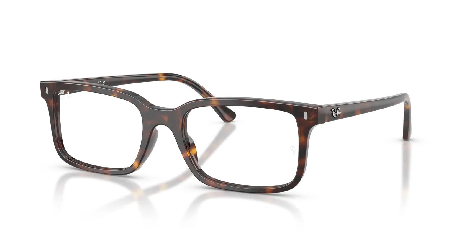 Ray-Ban 5445 Eyeglasses - view 29